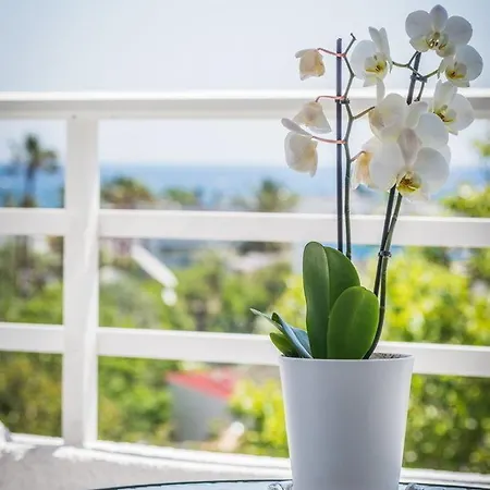 Appartement Annika Summer
