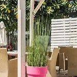 Annika Summer 팔리라키