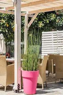 Annika Summer ファリラキ