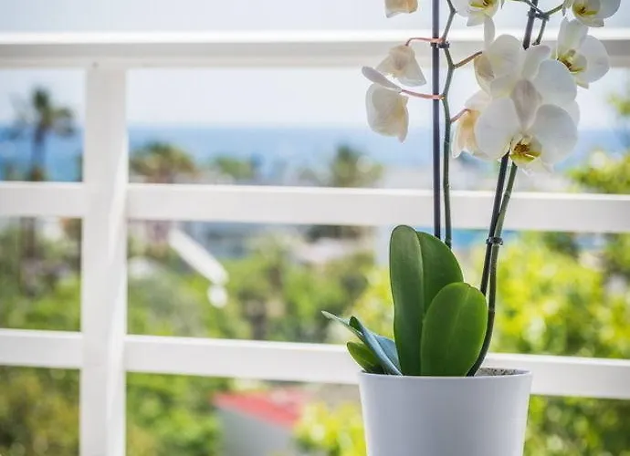 Hotell Annika Summer